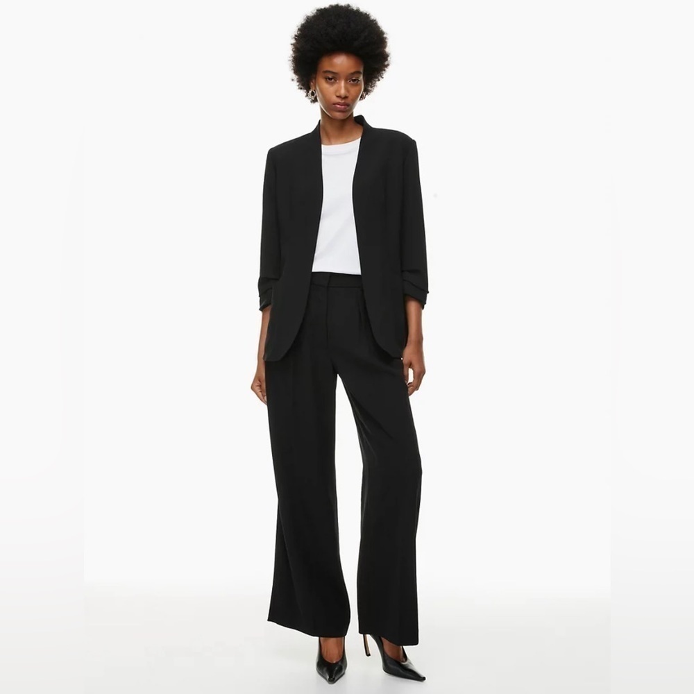 Aritzia Babaton Forte Blazer